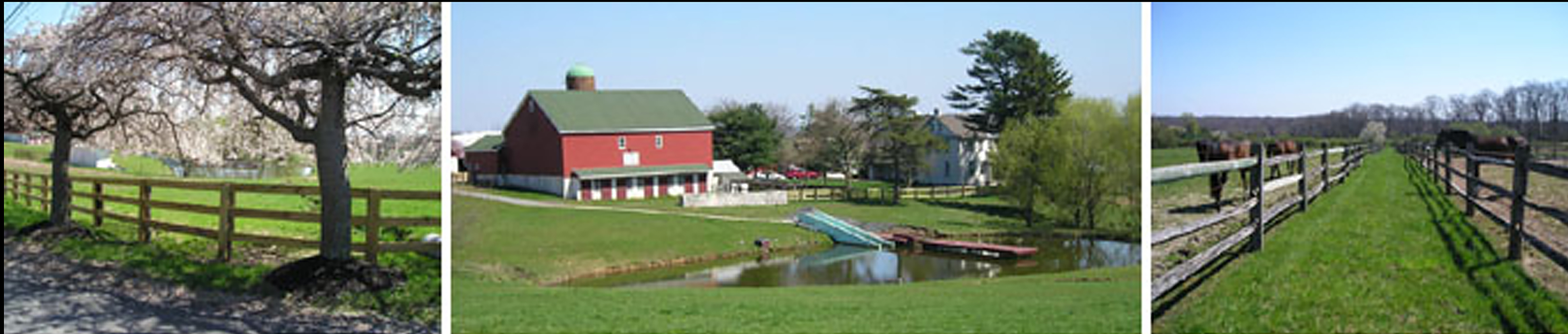 Boarding Black Horse Stables